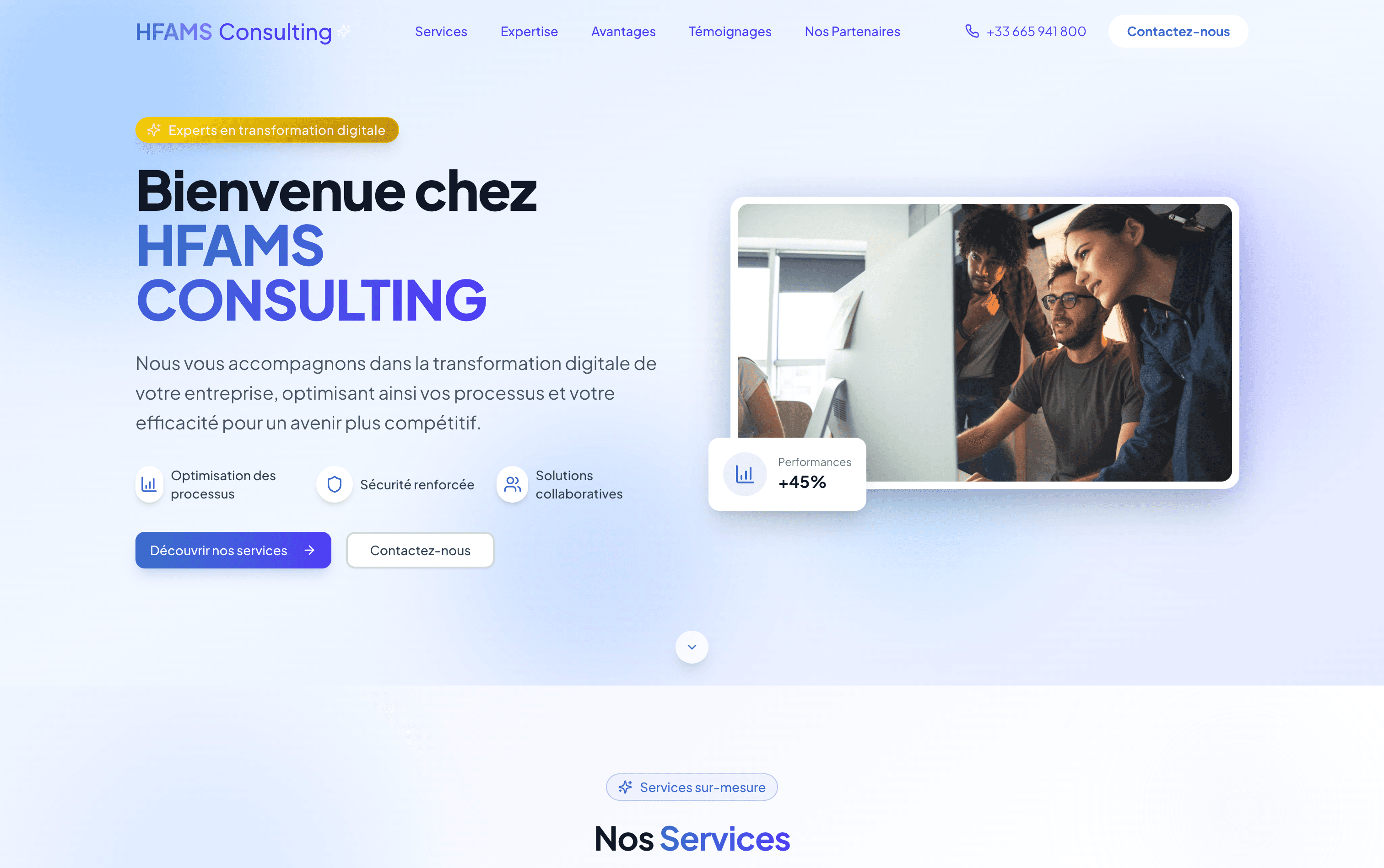 HFAMS Consulting screenshot